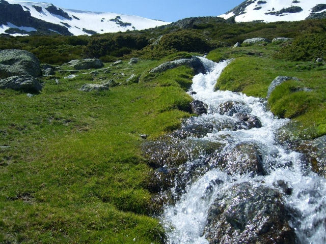 riachuelo