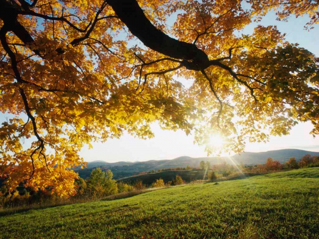 otoño