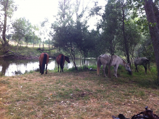 junto al rio porma