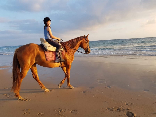  Reiter am Strand mit dem Pferd 