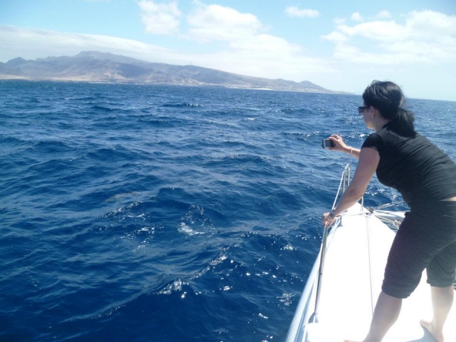 Tomando fotos de los cetaceos