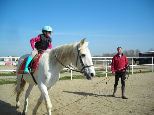 Avanzando en la monta a caballo