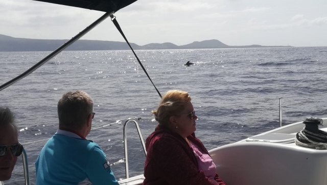 Desde el barco viendo un delfín