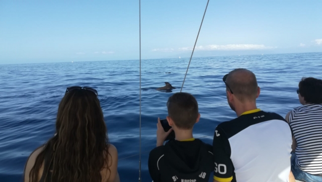 Pasajeros presenciando el paso de los delfines