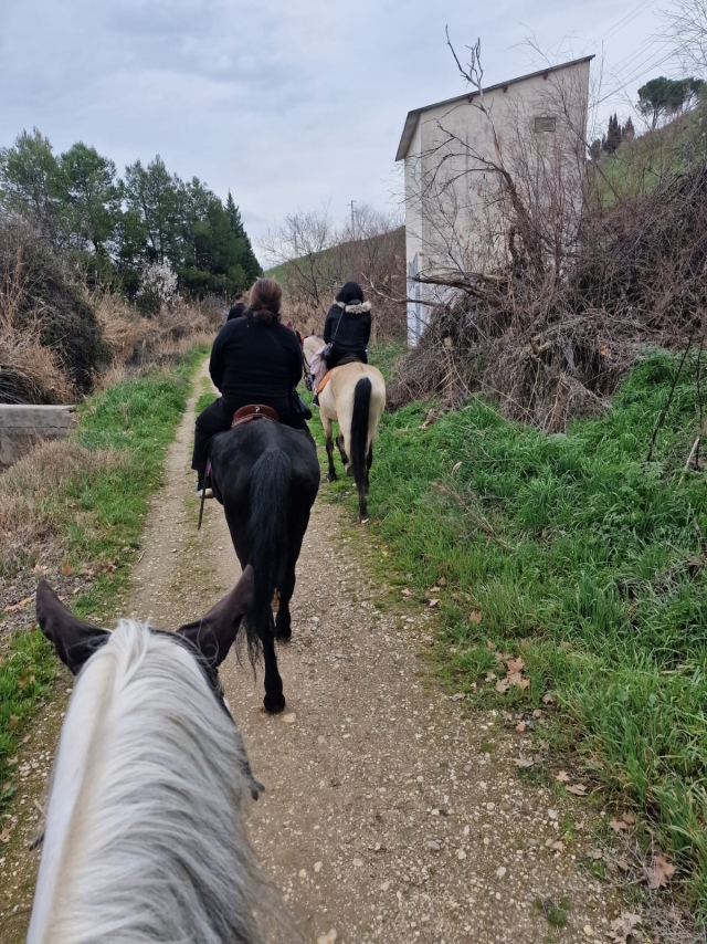 Opinione di Pablo su Passeggiata a cavallo per Aranjuez 1 ora e 30 minuti
