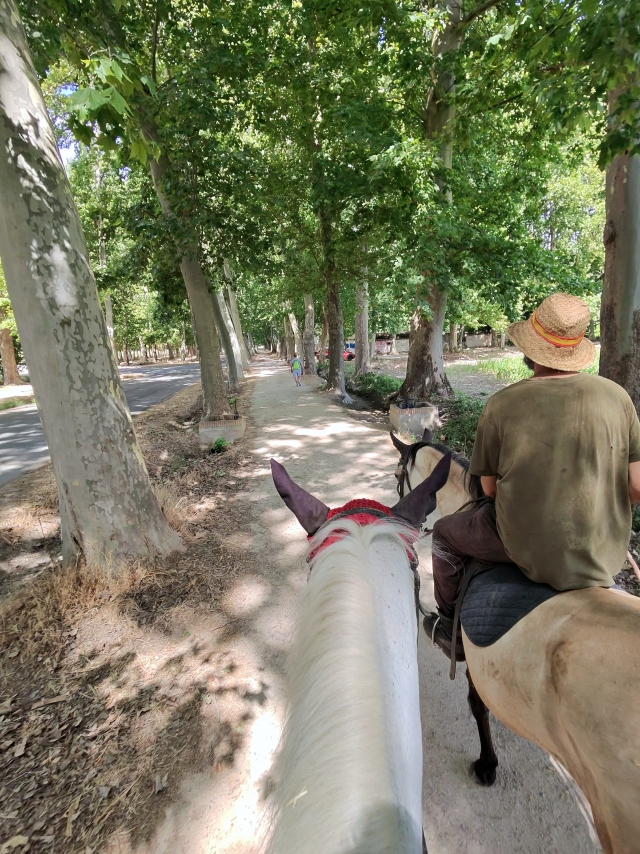 Opinión de Juan sobre Paseo a caballo por Aranjuez 1 hora y 30 minutos