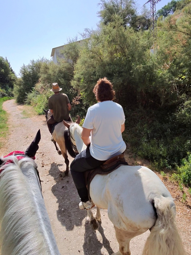 Opinión de Soledad sobre Paseo a caballo por Aranjuez 1 hora y 30 minutos