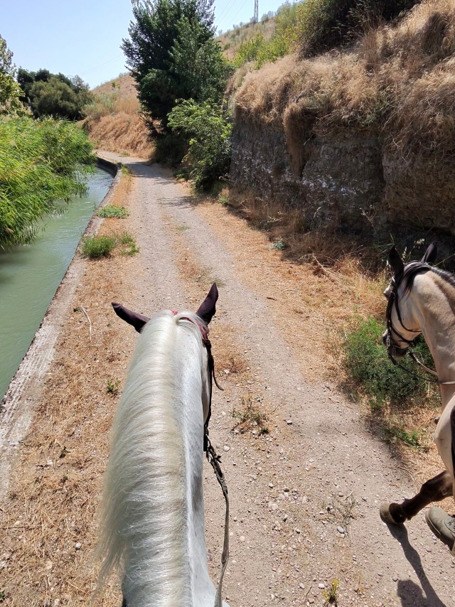 Opinión de Pablo sobre Paseo a caballo por Aranjuez 1 hora y 30 minutos