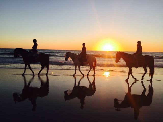  Ausritt bei Sonnenuntergang am Strand 