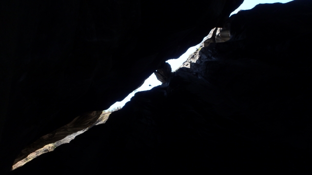  Looking out of a crevice 