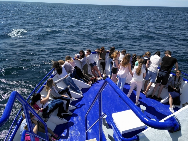 Guardare il mare dal ponte 