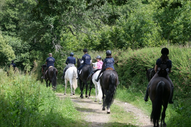 Excursiones a caballo para amigos