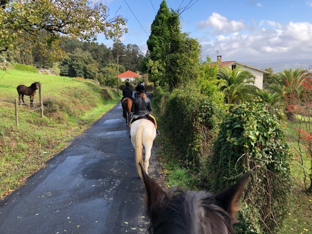 En el camino con los caballos