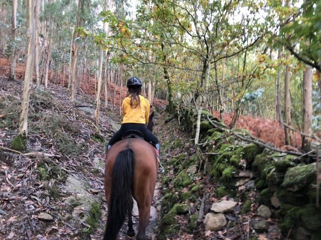 Disfrutando de la ruta a caballo