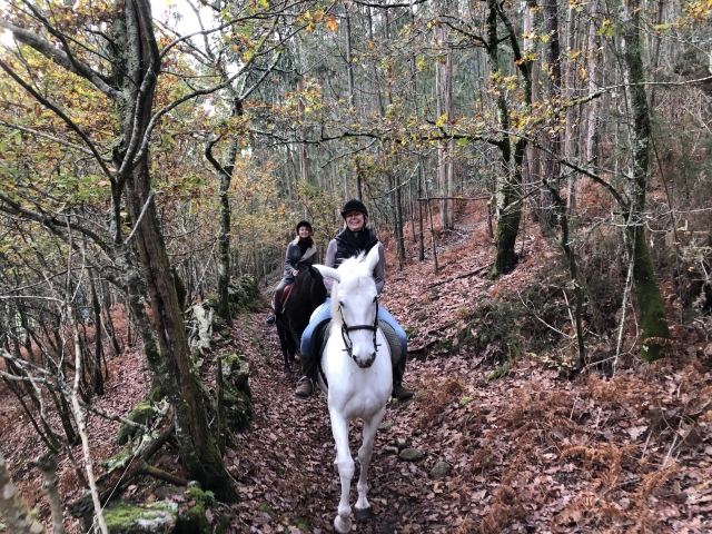 Por el bosque a caballo