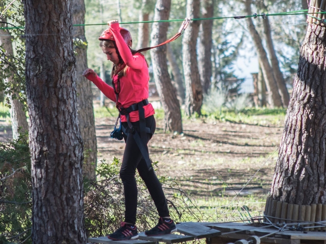  Adventure park circuit 