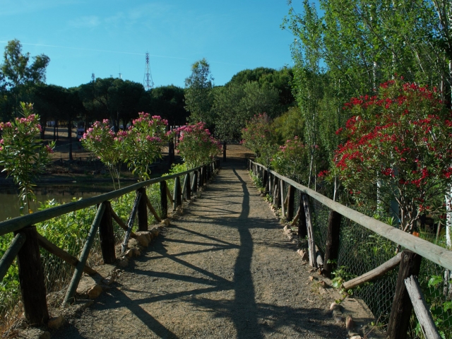  Naturex, adventure park 