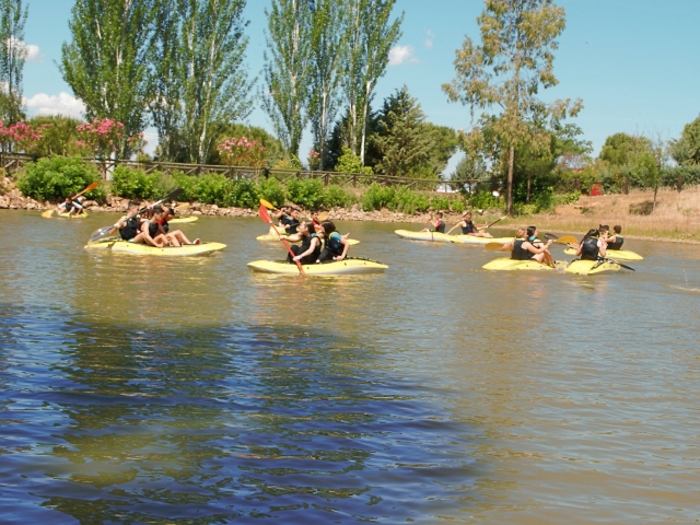  Paddling the canoes 