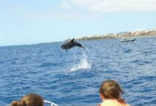  Ein Delfin springt vor den wachsamen Augen zweier Mädchen ins Wasser