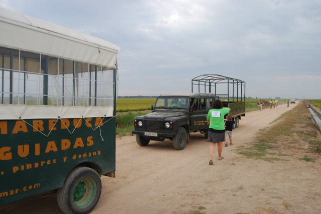 excursiones
