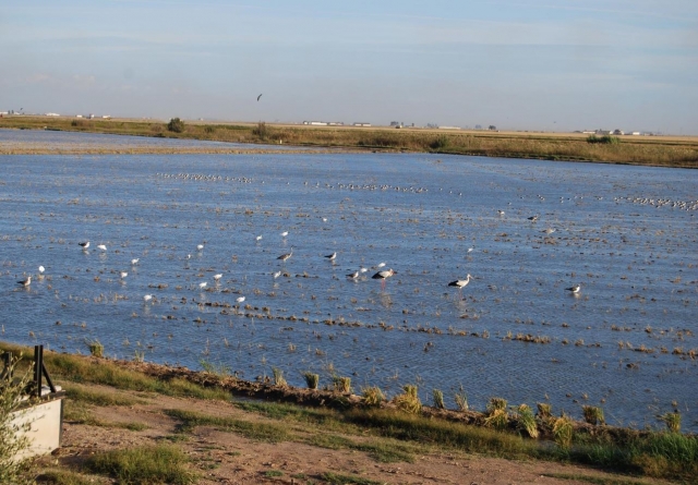  瓜迪亚马尔湿地游客中心 