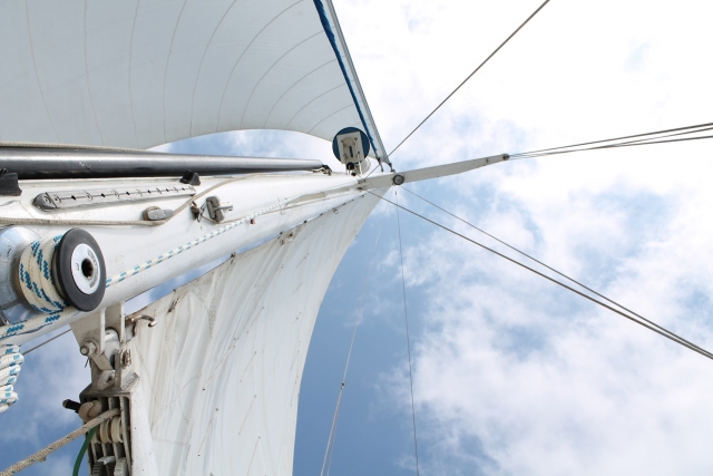 Comprobando la mariposa