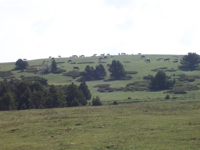 Paisaje de Girona