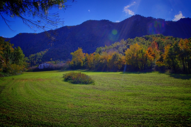 Entorno verde en valle de Girona