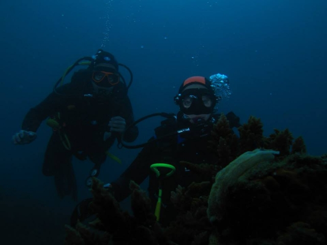  In the Maro-Cerro Gordo marine reserve 