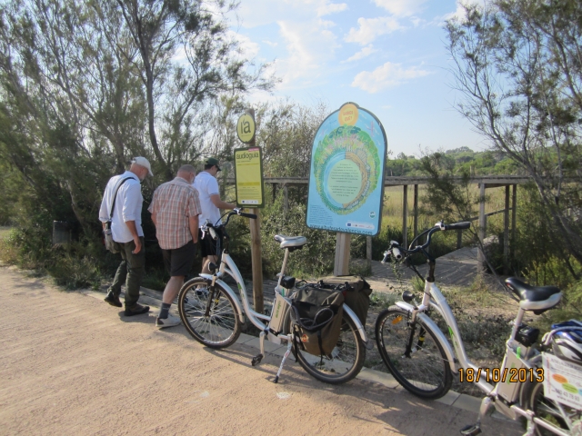  At points of ecological interest 