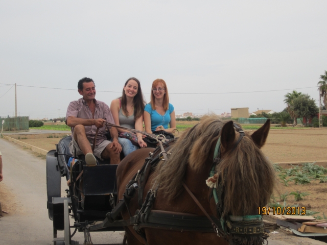  In the horse-drawn carriage 