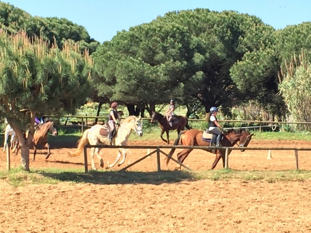 Clase de iniciacion a la equitacion