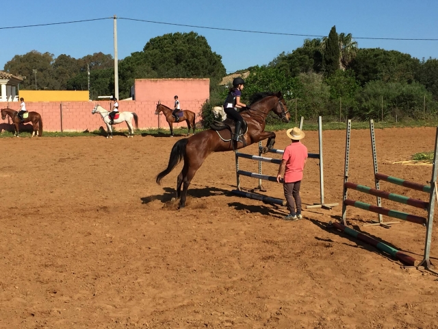 Clases de equitacion para todos los niveles