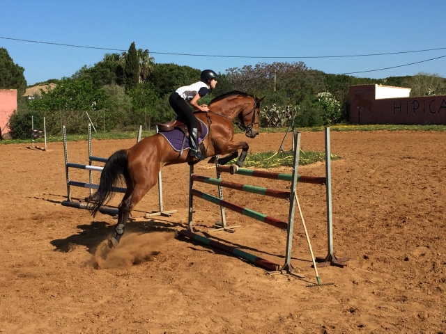 Prueba de obstaculos con el caballo