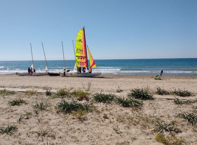 Hobie cat a la orilla del mar
