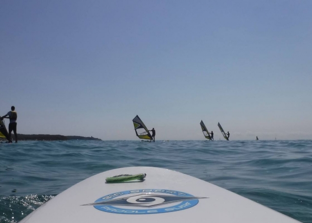 Observando a los windsurfistas