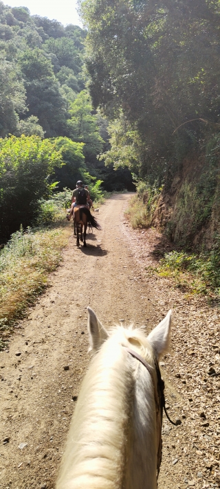 res_o-65668-rutas-a-caballo_de_alicia-amigo-jimenez_img20250821165151_175701367930.jpg