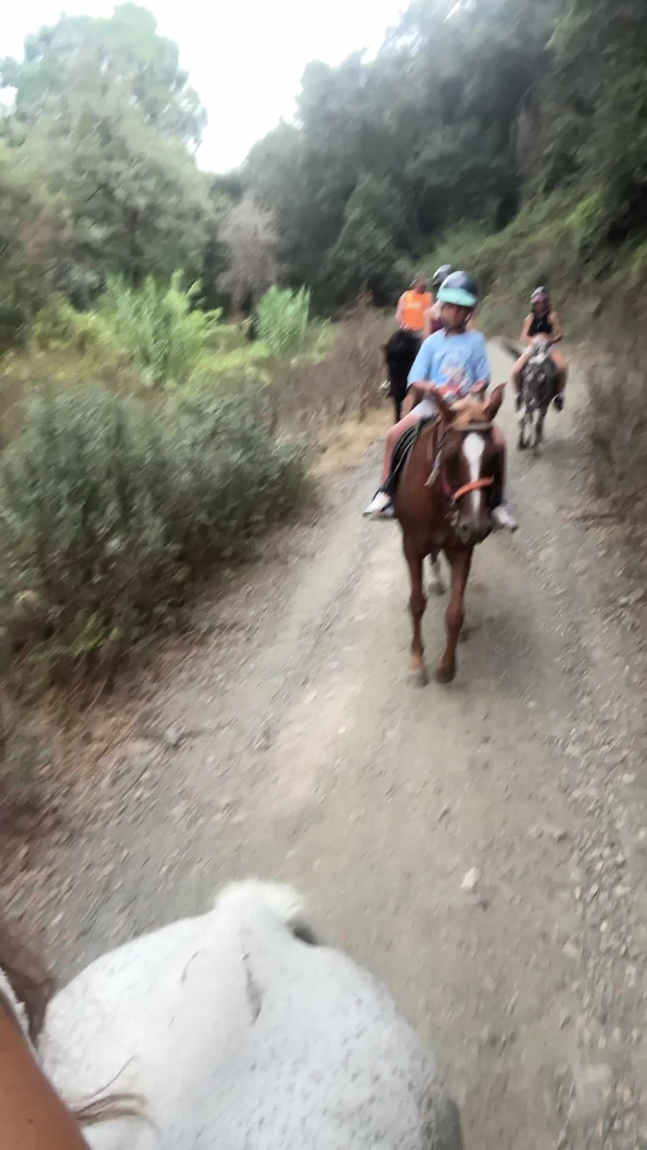 res_o-67539-rutas-a-caballo_de_carla-santiago-marin_17875749991535.mp4