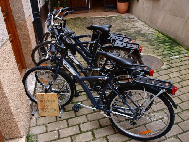 Bicycle rental for routes 