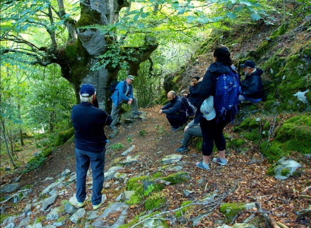  Departure with a guide around the tree 