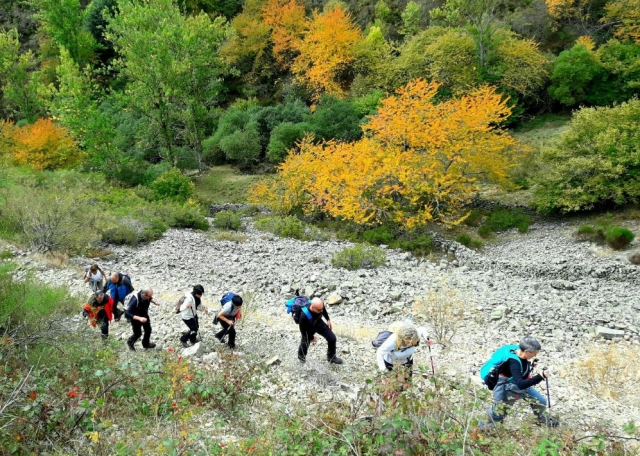  Rocky path in Ezcaray