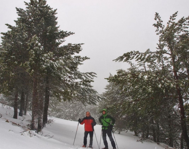  Bundle up for the excursion with snowshoes 
