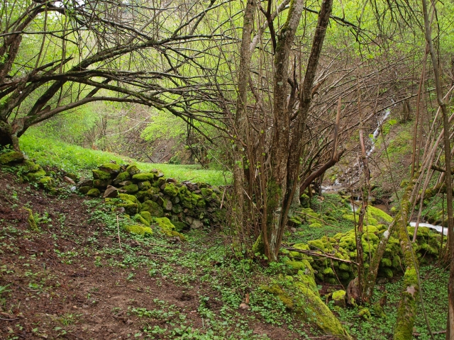  Natural environment of Ezcaray. 