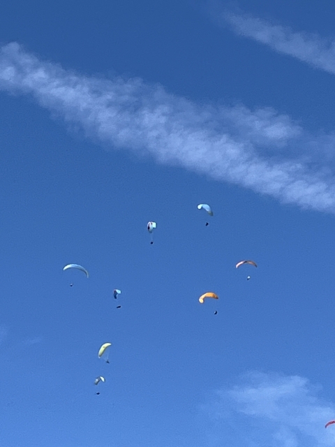 Opinión de Patricia sobre Vuelo en parapente en Igualada y Berga 20 minutos