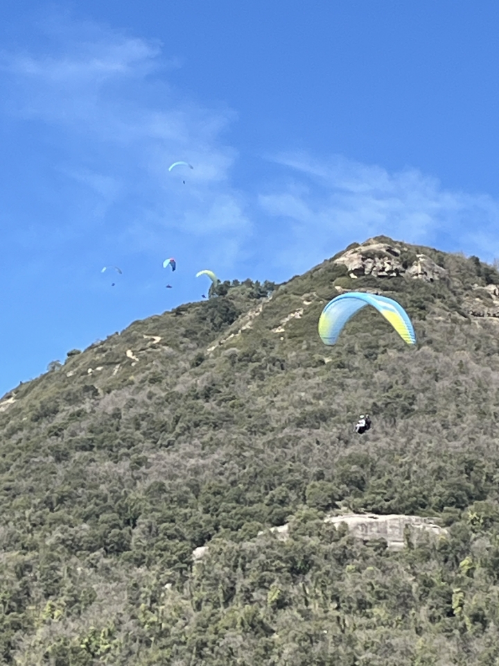 res_o-66607-parapente_de_miquel-munoz-quiros_17754747548882.jpeg