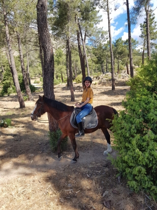res_o-58092-rutas-a-caballo_de_ainhoa-alcalde-rodriguez_1683797538850.jpeg