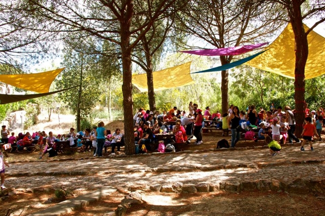  Camps for all ages 