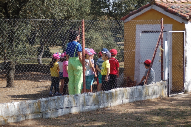 Visitando la granja