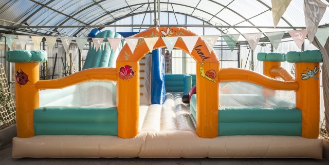 Do you like our Bouncy Castle?