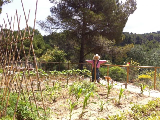 img-1600granja-daventura-park.jpg